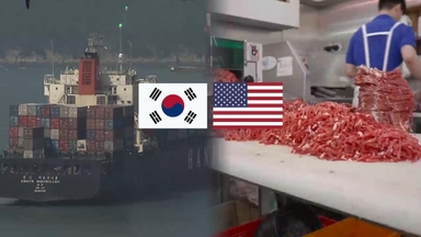 쌀·소고기 지켰지만 유전자변형작물 수입 완화...비관세 장벽은?