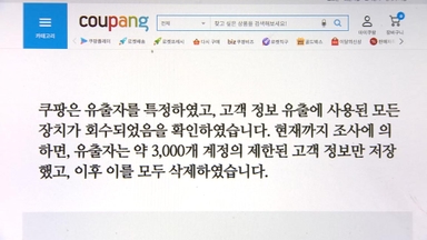'자체 조사' 곳곳 의문점…쿠팡 "정부 지시로 조사"
