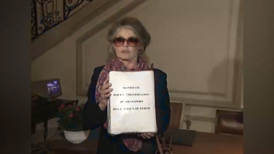 '한국 보신탕 문화 비판' 배우 브리지트 바르도 별세