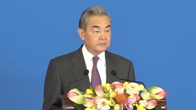 中왕이 "미국의 대만 무기 판매 반격해야"