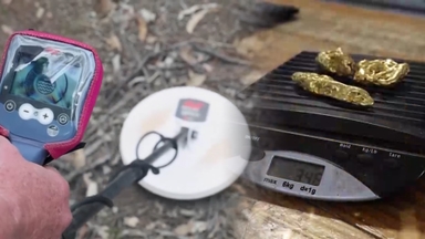 [지구촌톡톡] '주우면 임자'…치솟는 금값에 호주 금 사냥꾼 인기