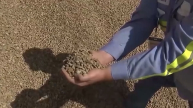 일, 남태평양 희토류 시굴 착수…공급망 강화 속도