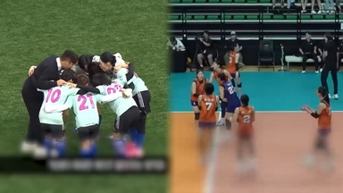 우후죽순 스포츠 예능…'대박 아니면 쪽박?'