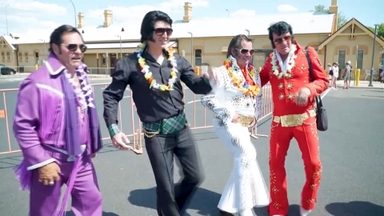 [영상구성] ‘로큰롤의 황제’ 엘비스들 총출동! 파크스 엘비스 페스티벌