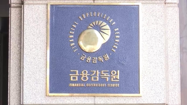 금감원, '달러상품 판매' 은행·보험사 줄소환