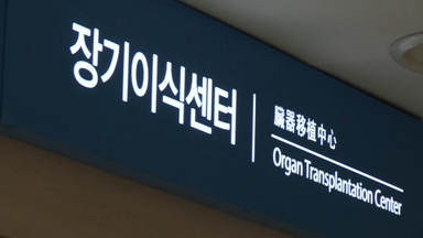 뇌사 장기 기증자 300명대 '뚝'…대기자는 증가