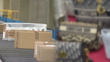 짝퉁 설화수·카카오인형?…위조품 11.7만점 적발