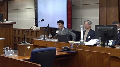 "재판부와 '화해'하고 싶다, '보석'해 달라"...김용현 변호인 황당 주장 [앵커리포트]