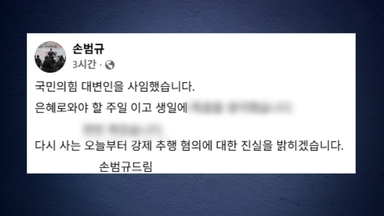 '강제추행 의혹' 국민의힘 손범규 대변인 사임
