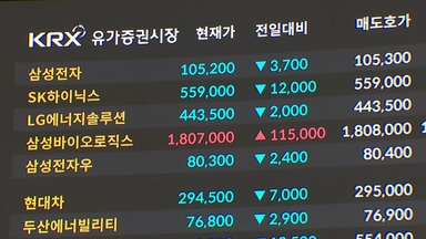 되살아난 AI 거품론...삼성전자·SK하이닉스 급락