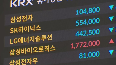 되살아난 AI 거품론...삼성전자·SK하이닉스 급락