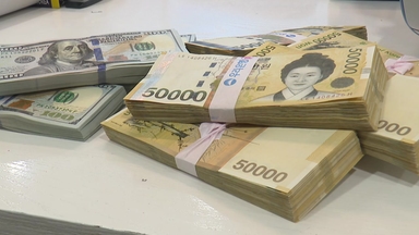 [스타트 경제] 한국은행의 반박 "유동성 때문에 환율·집값 상승? 과도한 해석"