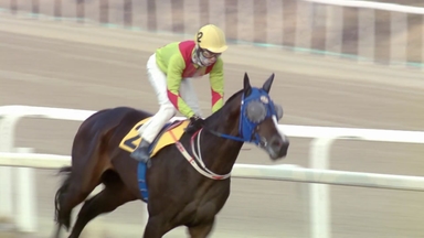 [주간 경마] 문세영·서승운, 올해 다승왕...내년엔 우리가?