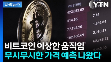 [자막뉴스] 시험대 오른 비트코인...전문가 전망은?