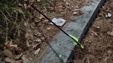 산책하던 시민 옆에 화살 '퍽'...경찰 용의자 추적 중