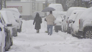 주말 강원, 휴일 서해안...최고 20㎝ '대설' 뒤 강력 한파