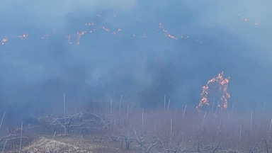 경북 의성 야산에 큰 불...주민 대피령