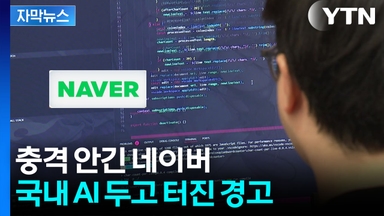 [자막뉴스] 야심찬 시작이 충격적 성적표로...'국내 AI' 부끄러운 민낯