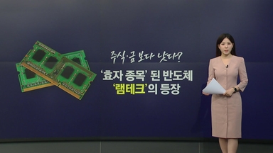 AI 열풍에 '칩플레이션'...금값 상승률 앞지르며 '램테크' 등장 [앵커리포트]