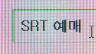 SRT 설 승차권 교통약자 우선예매 결과 예매율 79.4%