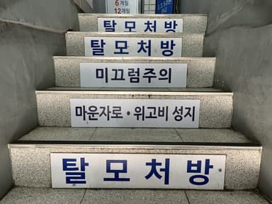 “뼈말라 되고싶어서”···종로 ‘마운자로 성지’ 가보니