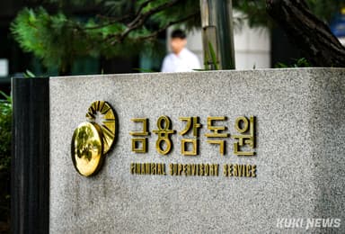 쿠팡에 칼 빼든 금감원, 쿠팡페이·파이낸셜 ‘쌍끌이 검사’