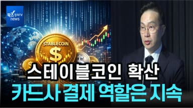 [리포트-2026 여신업 전망] "스테이블코인 확산에도 카드사 결제 역할은 지속"
