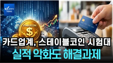 [리포트] 2026년 카드업계, 스테이블코인 대응 모색...실적 악화도 해결과제