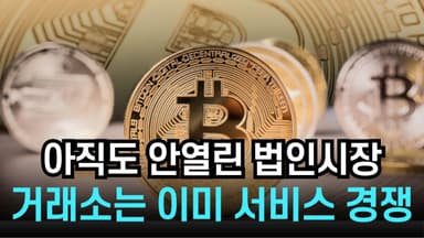 [리포트] 법인 가상자산 거래 대비…국내 거래소 움직임 본격화