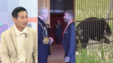 [핫클릭] 염경엽 감독 "김현수, 박해민 모두 LG에 남으리라 생각" 外