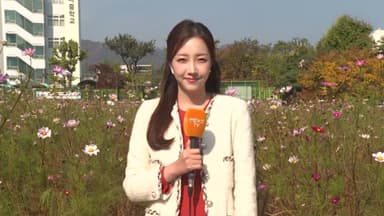 [날씨] 절기 '입동'인데 포근한 가을…일교차 15도 안팎