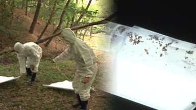 진드기가 옮기는 SFTS 환자 220명…5년 새 최다