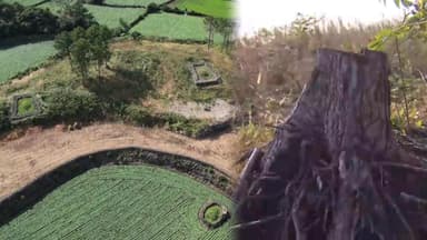 "약초 재배 거짓말" 제주문화유산 인근 산림 훼손