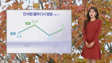 [날씨] 찬 바람 불며 다시 쌀쌀…동해안 대기 건조·산불 주의