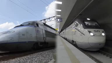 3월부터 수서역서도 KTX 탄다...내년 말까지 코레일·SR 통합