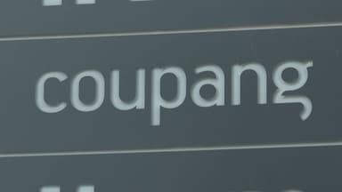쿠팡 美본사 상대 집단소송 추진…"징벌적 손배소송"