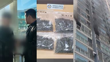 [사건사고] 불법 영화·웹툰 ‘허브’ 구축…50억 챙긴 일당 검거 外