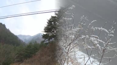 메마른 동해안 대형 산불 위험…모레 전국 비·눈