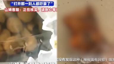 中 '생쥐 포장 떡'에 '생쥐 머리 고춧가루'…위생 논란