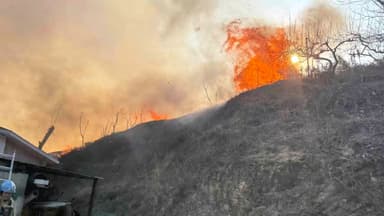 강원 양양 산불 1시간 만에 주불 진화…인명피해 없어
