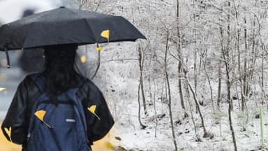주말 전국 눈·비…강원 최고 15㎝ 폭설 예보