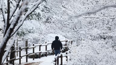 [속보] 원주 등 강원 4곳 대설주의보...포천·가평은 해제