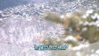 [영상구성] 눈 덮인 하얀 세상