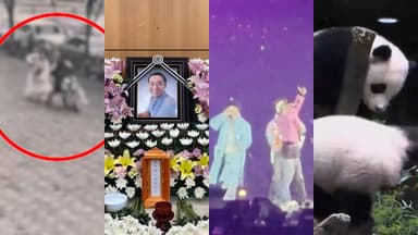 [핫클릭] 무면허 킥보드에 쓰러진 엄마…"의식 찾았지만 기억상실" 外