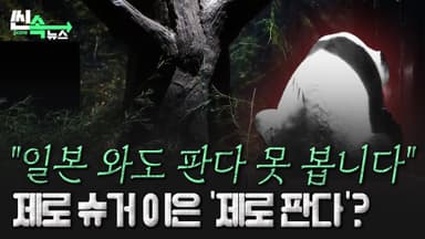 中日 싸움에 판다 등 터졌네…일본에서 절대 다시 못보는 판다? [씬속뉴스]