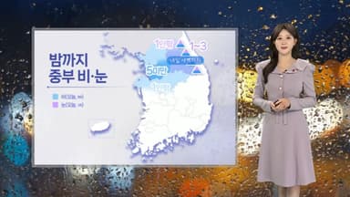 [날씨] 밤까지 중부 비·눈…내일 전국 공기 질 '나쁨'