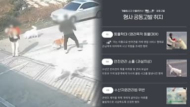 목줄 없는 개, 막을 방법 없나…제주 ‘오프리쉬’ 논란