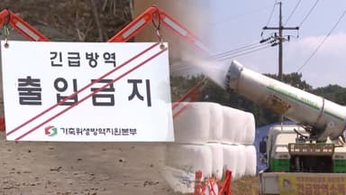 아프리카돼지열병, 해외 유입 가능성…중수본 방역 강화