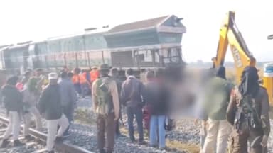 인도서 열차가 코끼리떼와 충돌…7마리 '떼죽음'