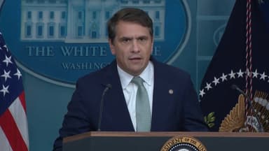 "엡스타인 파일서 트럼프 삭제, 피해자 보호 위한 것"